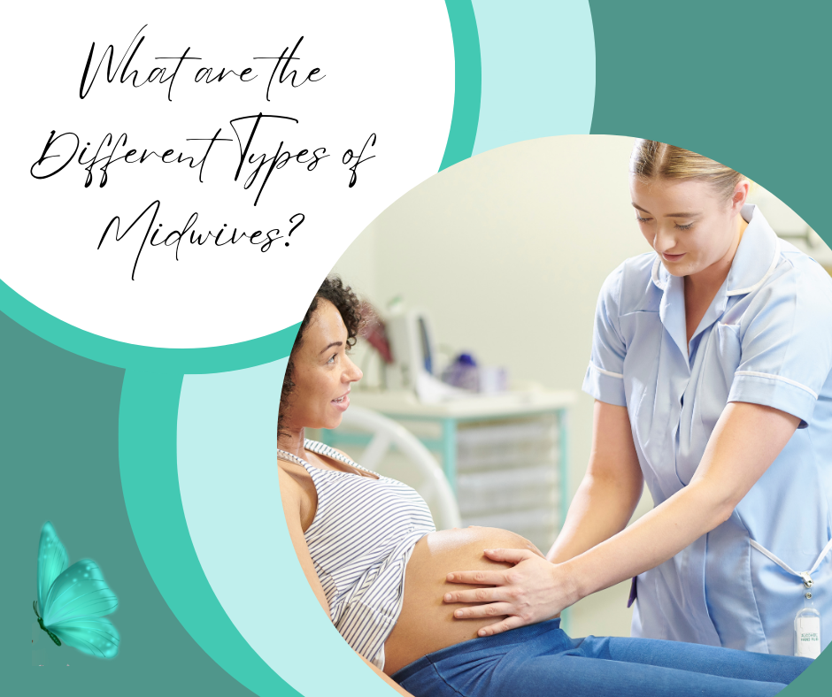 what are different types of midwives